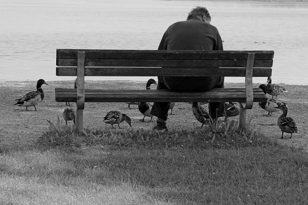 Man sitting on a park bench